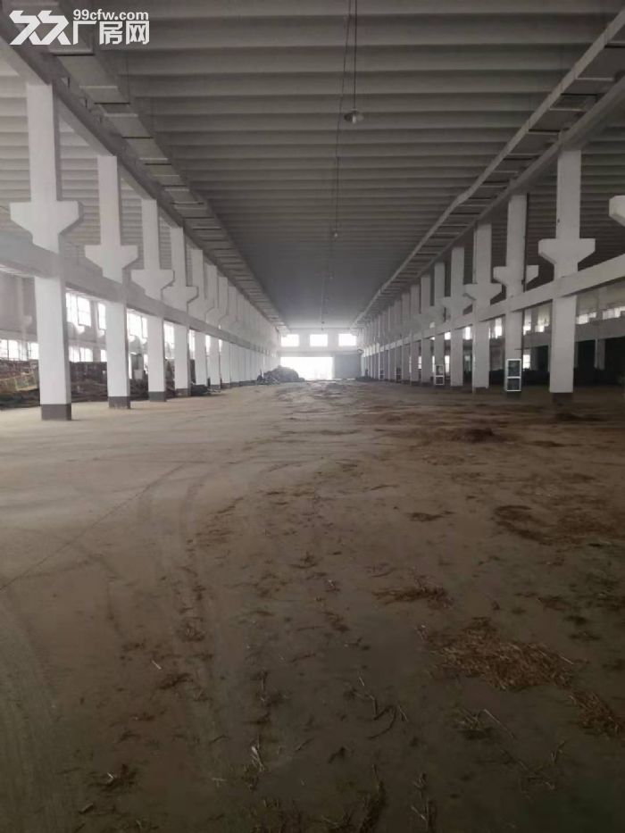 平湖林埭附近独院厂房10600平方，首层层高11米有货梯2部，主体消防-图3